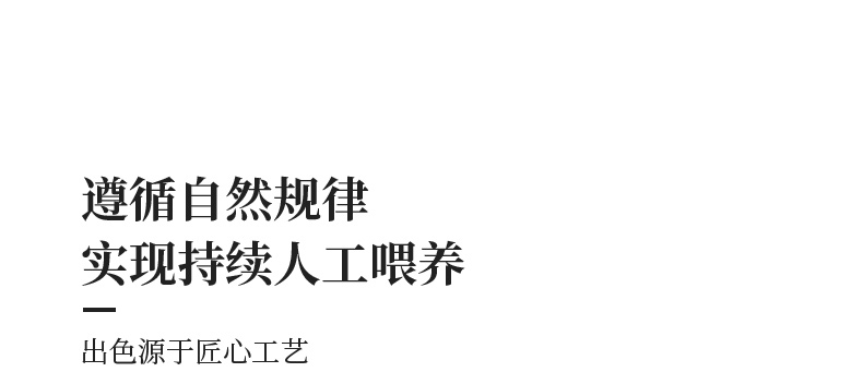 5（翻译）.png