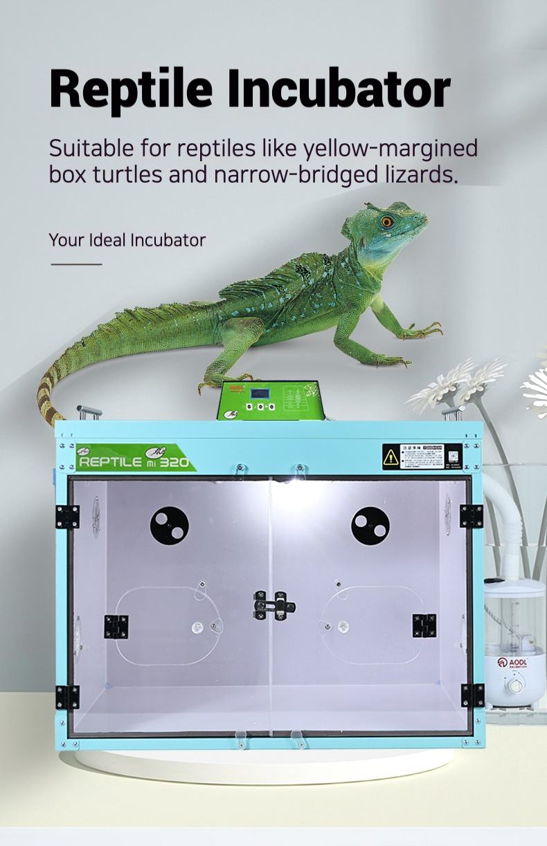 1.png.jpeg