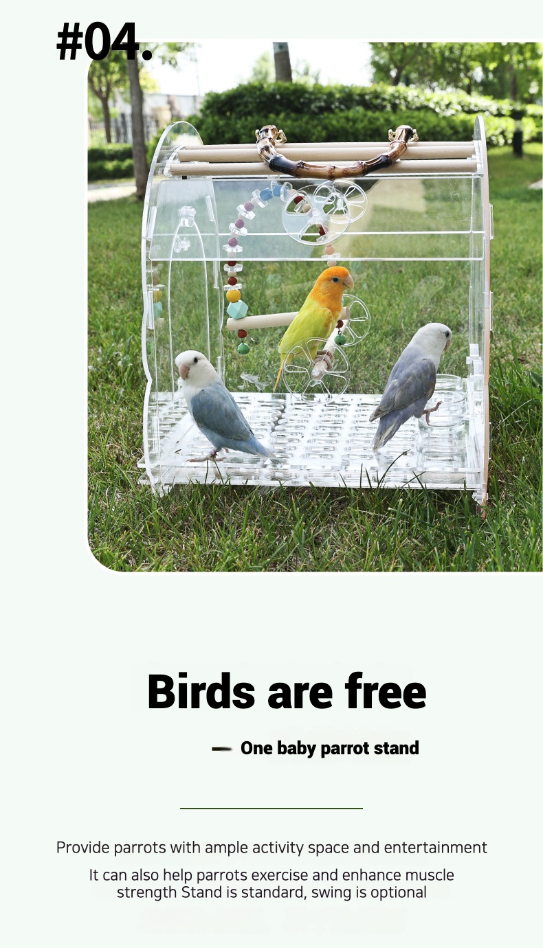 7.png.jpeg
